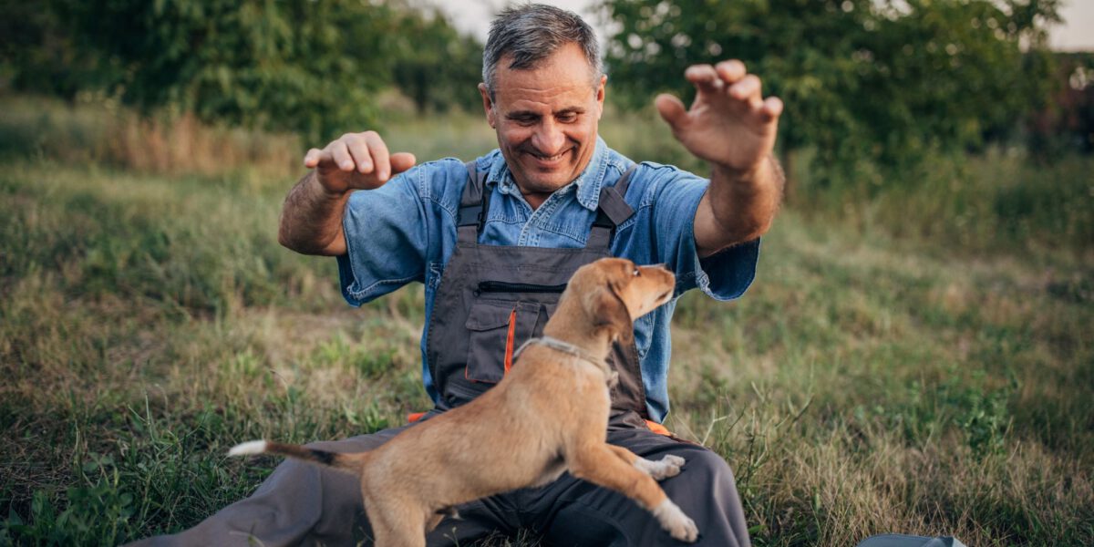 L’influenza positiva dei cani sulla salute cardiaca: una prospettiva dettagliata