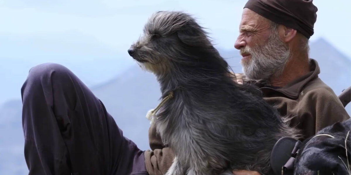 Adaptil: La Soluzione per Tranquillizzare il Tuo Cane Ansioso