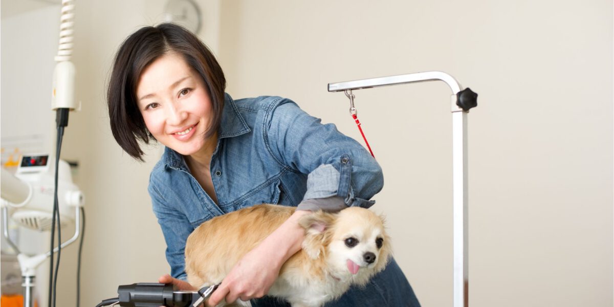 Tosare il Pelo del Cane: Tecniche e Consigli per una Toelettatura Perfetta