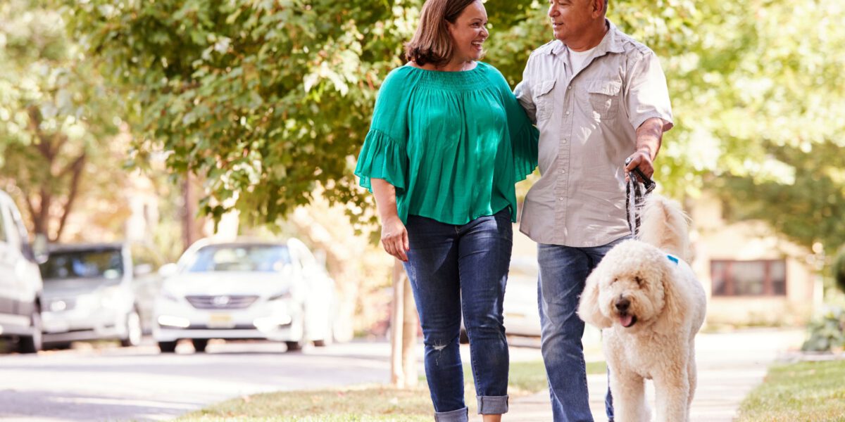 I Cani Fiutano il Diabete: Scopri Come Aiutano i Pazienti